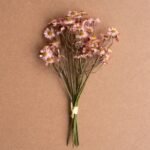 Faux Chamomile Bundle - Blush