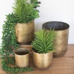Set of 4 Aged Brass Metal Flower Pots – Decorative Planters for Succulents & Herbs